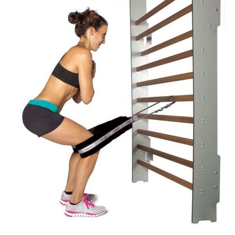 CE1393 - Squat Belt