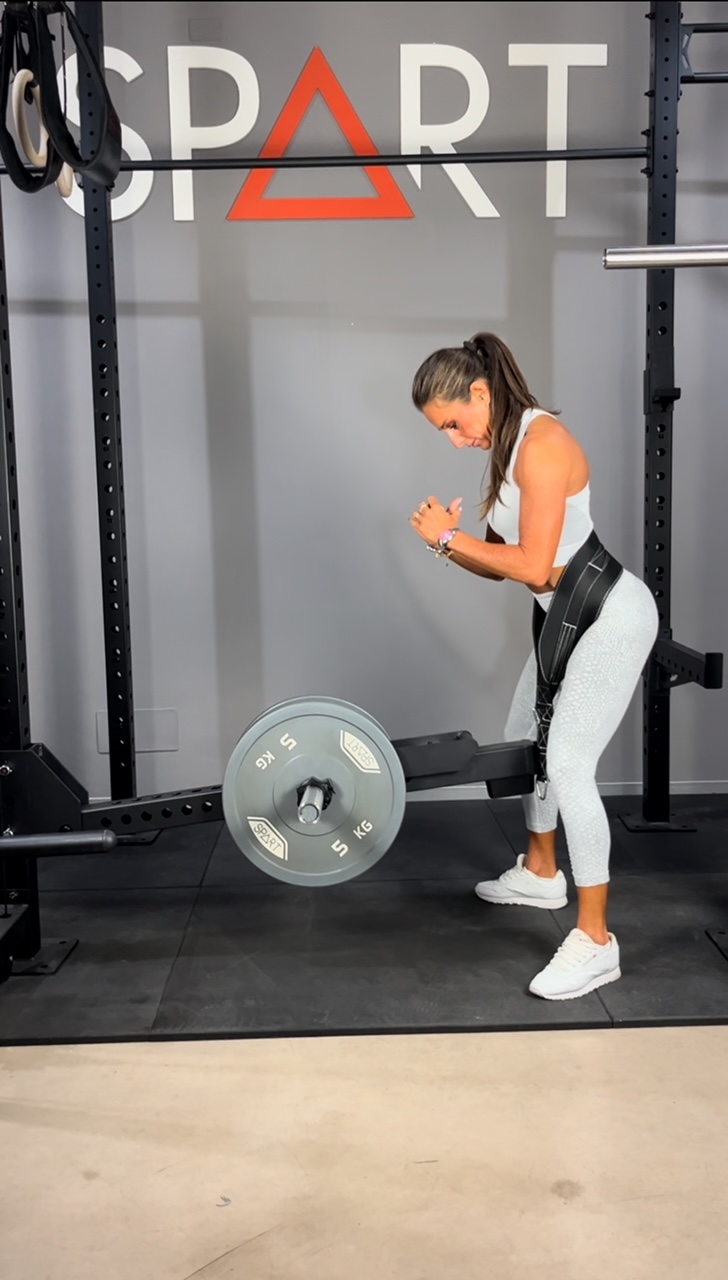 Belt Squat
